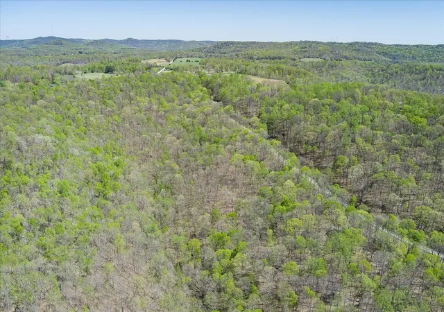 4th image of 0 Rocky Point Road 34 Acres, Cookeville, TN 38506 | MLS# 3158855