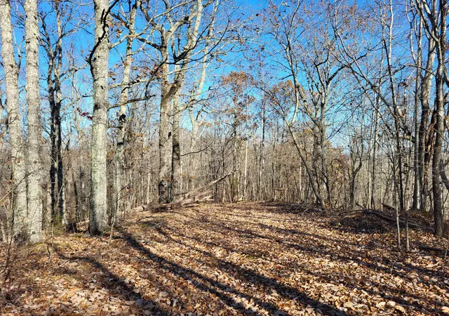 Homes for sale in Holladay, TN | 2 Marina Cove Off Road, Holladay, TN 38341 | MLS# 3159039