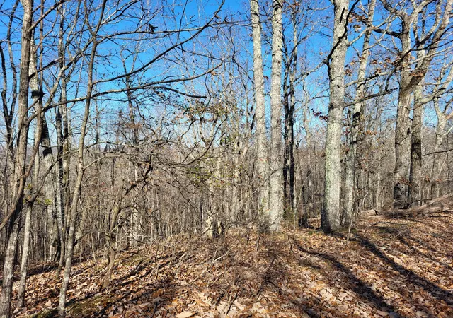 Homes for sale in Holladay, TN | 2 Marina Cove Off Road, Holladay, TN 38341 | MLS# 3159039