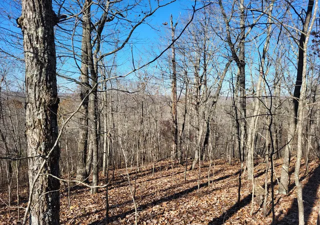 Homes for sale in Holladay, TN | 2 Marina Cove Off Road, Holladay, TN 38341 | MLS# 3159039
