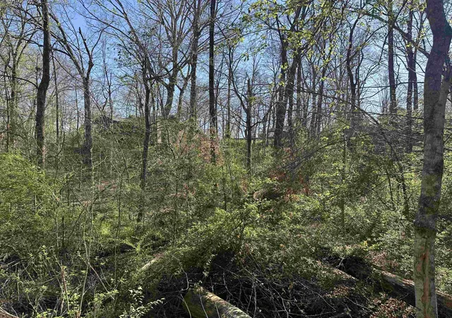 Homes for sale in Crump, TN | 0 Crump Landing Rd, Crump, TN 38327 | MLS# 3159132