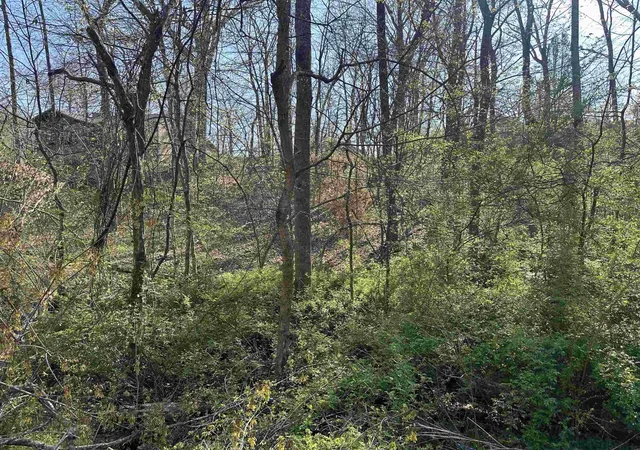 image of 0 Crump Landing Rd, Crump, TN 38327 | MLS# 3159132