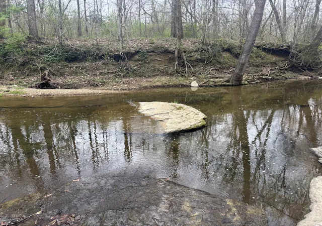 31st image of 0 Crow Cut Rd, Fairview, TN 37062 | MLS# 3166716