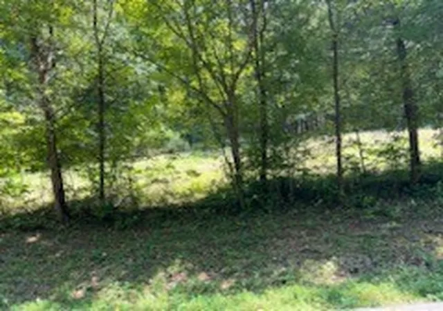 Photo 3 of Land for sale at 0 Shelter Branch Rd, Charlotte, TN 37036 | MLS# 3159903 | Listing updated on 2026-09-24