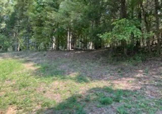 Photo 3 of Land for sale at 0 Shelter Branch Rd, Charlotte, TN 37036 | MLS# 3159903 | Listing updated on 2026-09-24