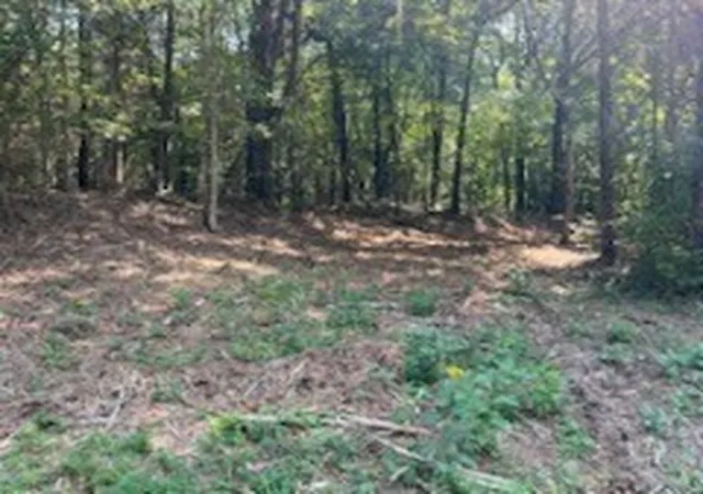 Land for sale at 0 Shelter Branch Rd, Charlotte, TN 37036 | MLS# 3159903