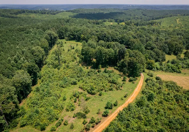 5th image of 2023 Wayland Springs Rd, Iron City, TN 38463 | MLS# 3166846