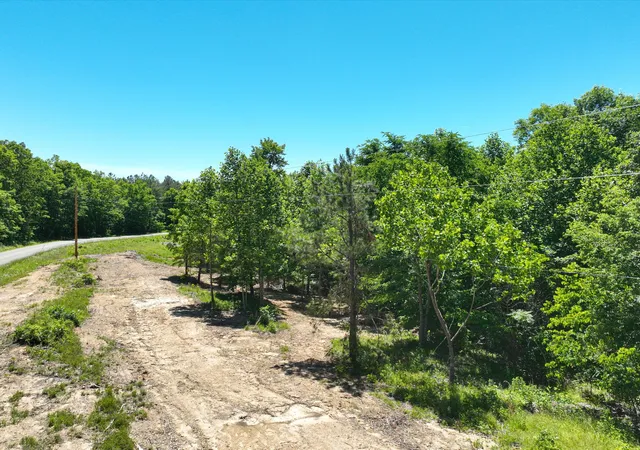 Photo 4 of Land for sale at 321 Ridgetop Rd, Hampshire, TN 38461 | MLS# 3214669 | Listing updated on 2026-09-24