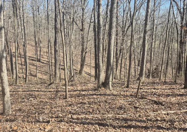 Homes for sale in South Pittsburg, TN | 61 Teludachee Trail, South Pittsburg, TN 37380 | MLS# 3159597