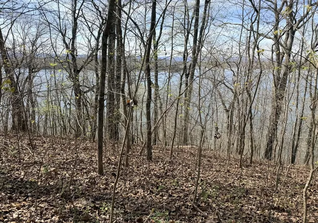 8th image of 7 Johnson Lane, Ten Mile, TN 37880 | MLS# 3248874
