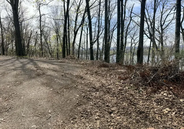7th image of 8 Johnson Lane, Ten Mile, TN 37880 | MLS# 3248876