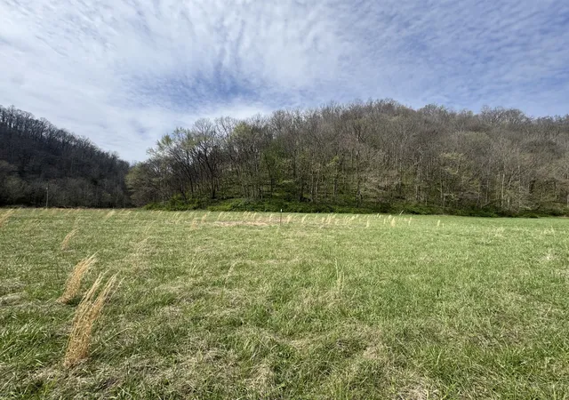 Homes for sale in Whitleyville, TN | 561 Pine Lick Rd, Whitleyville, TN 38588 | MLS# 3159720