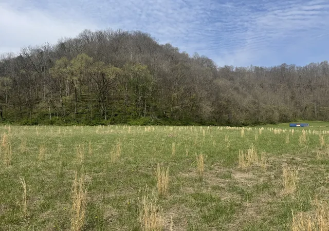 Homes for sale in Whitleyville, TN | 561 Pine Lick Rd, Whitleyville, TN 38588 | MLS# 3159720
