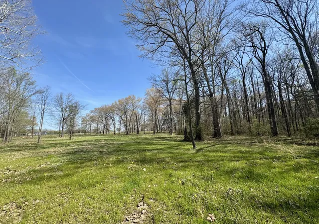 4th image of 0 Black Barn Lane, Rockvale, TN 37153 | MLS# 3164389