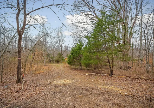 Photo 4 of Land for sale at 3944 Crawford Rd, Silver Point, TN 38582 | MLS# 3159767 | Listing updated on 2026-09-28
