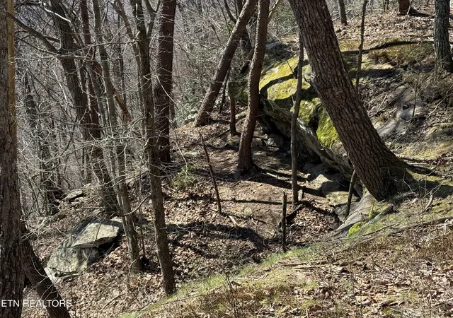 Photo 3 of Land for sale at 0 Cumberland Cvs Rd, Monterey, TN 38574 | MLS# 3159826 | Listing updated on 2026-09-21