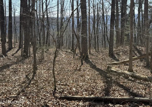Photo 3 of Land for sale at 0 Cumberland Cvs Rd, Monterey, TN 38574 | MLS# 3159826 | Listing updated on 2026-09-21