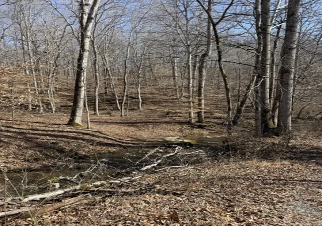 Photo 2 of Sale Pending at 0 Old Hwy 96, Franklin, TN 37064 | MLS# 3160143 | Listing updated on 2026-04-04
