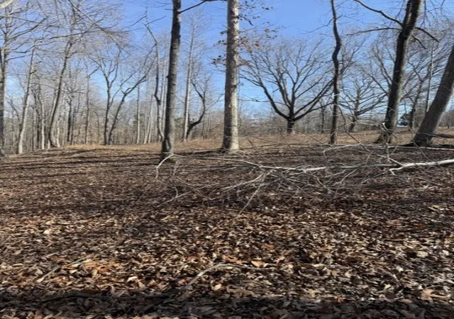 Photo 1 of Sale Pending at 0 Old Hwy 96, Franklin, TN 37064 | MLS# 3160143 | Listing updated on 2026-04-04