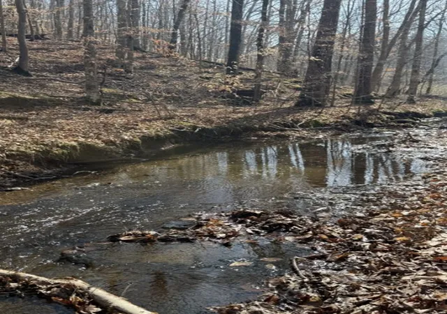 Photo 3 of Sale Pending at 0 Old Hwy 96, Franklin, TN 37064 | MLS# 3160143 | Listing updated on 2026-04-04