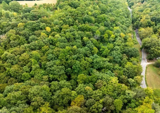 Photo 47 of Sale Pending at 0 Old Hwy 96, Franklin, TN 37064 | MLS# 3160143 | Listing updated on 2026-04-04