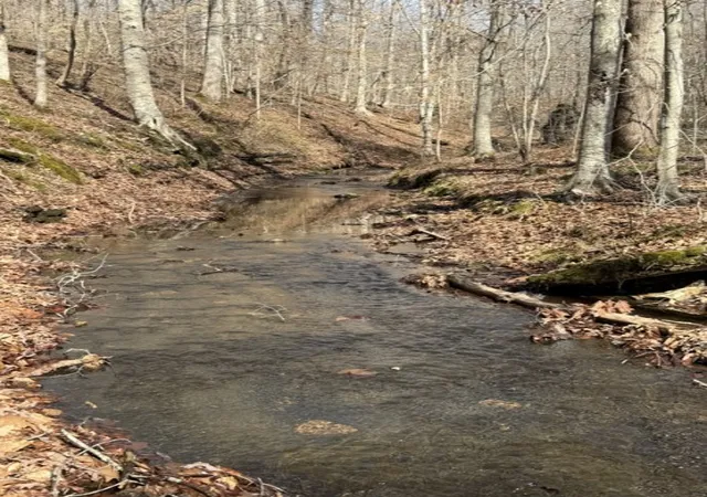 Photo 4 of Sale Pending at 0 Old Hwy 96, Franklin, TN 37064 | MLS# 3160143 | Listing updated on 2026-04-04
