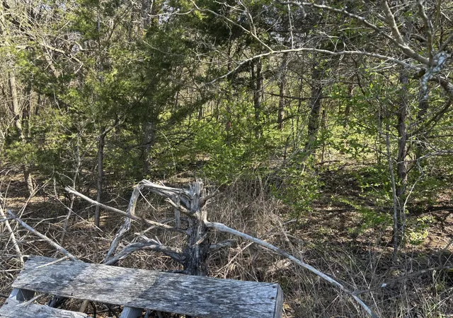 1st image of 0 Nolensville Rd, Nolensville, TN 37135 | MLS# 3160170