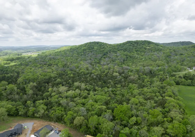 3rd image of 0 Nolensville Rd, Nolensville, TN 37135 | MLS# 3160170