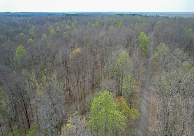 Homes for sale in Holladay, TN | 0 Holladay Road, Holladay, TN 38341 | MLS# 3160232