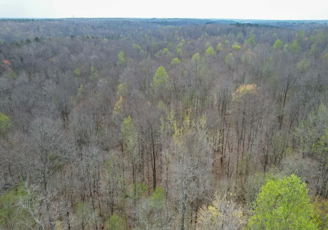 Homes for sale in Holladay, TN | 0 Holladay Road, Holladay, TN 38341 | MLS# 3160232