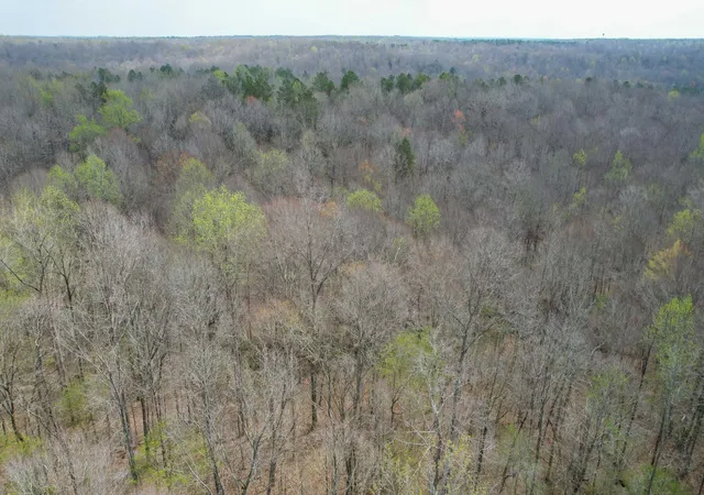 Homes for sale in Holladay, TN | 0 Holladay Road, Holladay, TN 38341 | MLS# 3160232