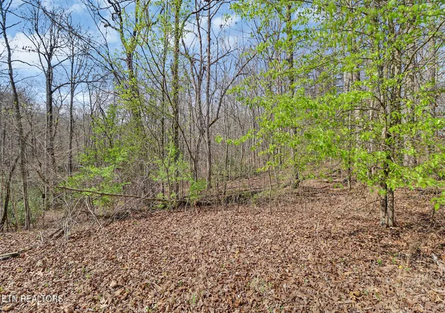 Photo 2 of Land for sale at 0 Thompson Rd, Crossville, TN 38571 | MLS# 3163663 | Listing updated on 2026-09-21