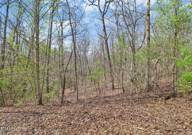 Photo 3 of Land for sale at 0 Thompson Rd, Crossville, TN 38571 | MLS# 3163663 | Listing updated on 2026-09-21