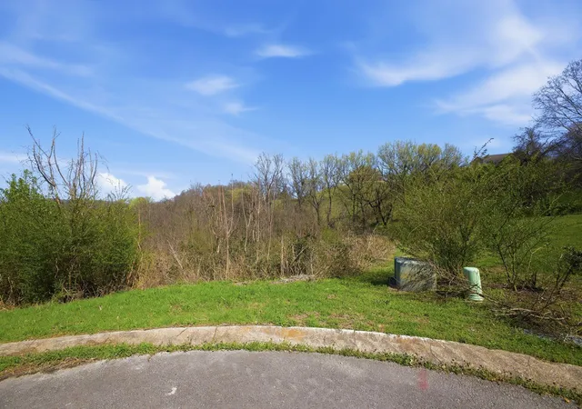3rd image of 0 Deer Ridge Rd, Columbia, TN 38401 | MLS# 3163811