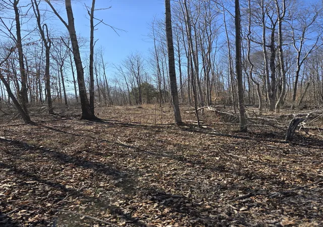 Photo 1 of Land for sale at 0 Honey Frk Rd, Indian Mound, TN 37079 | MLS# 3164040 | Listing updated on 2026-07-24