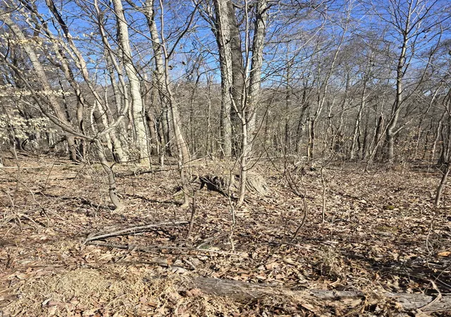 Photo 15 of Land for sale at 0 Honey Frk Rd, Indian Mound, TN 37079 | MLS# 3164040 | Listing updated on 2026-07-24