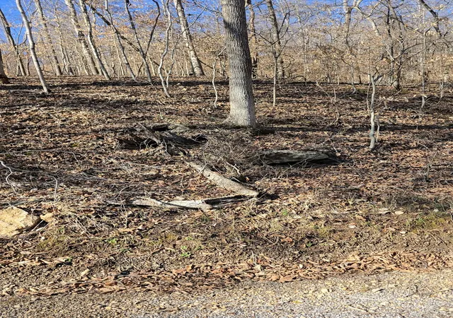 Photo 2 of Land for sale at 0 Honey Frk Rd, Indian Mound, TN 37079 | MLS# 3164040 | Listing updated on 2026-07-24