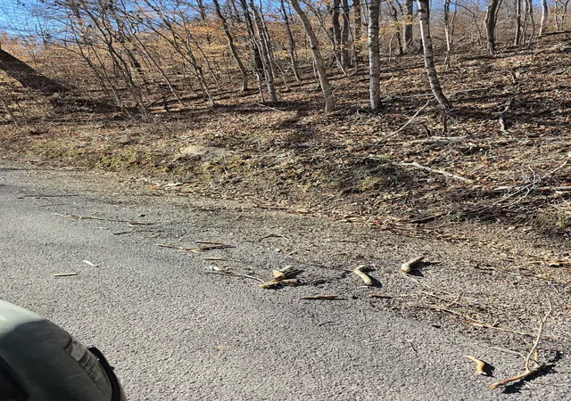 Photo 2 of Land for sale at 0 Honey Frk Rd, Indian Mound, TN 37079 | MLS# 3164040 | Listing updated on 2026-07-24