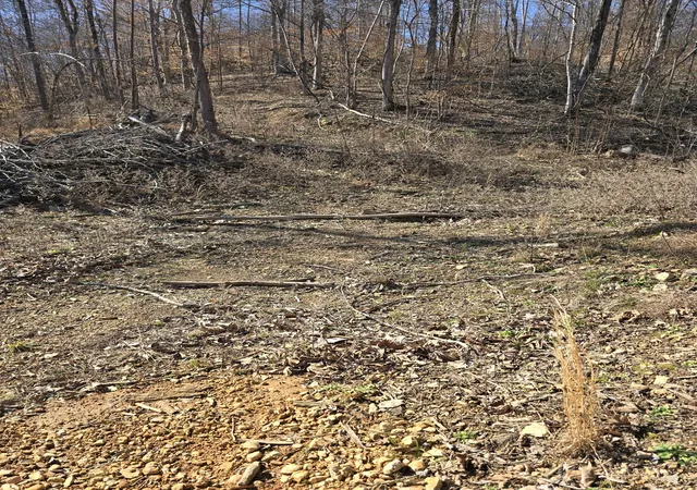 Photo 3 of Land for sale at 0 Honey Frk Rd, Indian Mound, TN 37079 | MLS# 3164040 | Listing updated on 2026-07-24