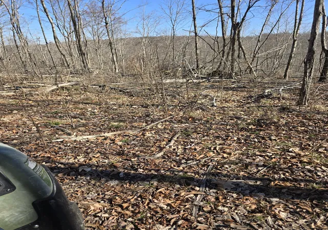 Photo 4 of Land for sale at 0 Honey Frk Rd, Indian Mound, TN 37079 | MLS# 3164040 | Listing updated on 2026-07-24