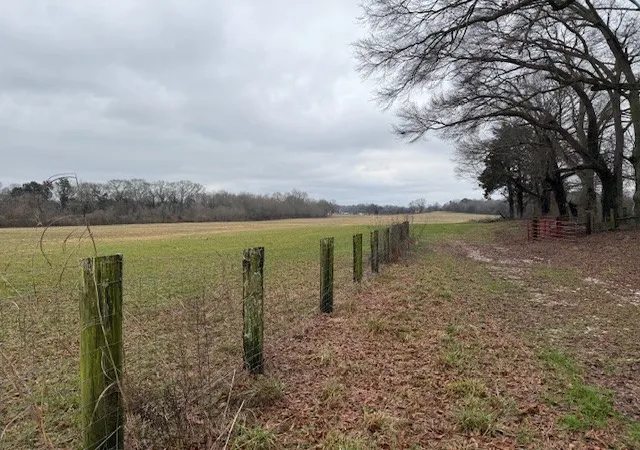 4th image of 1 Beth Page Rd, Estill Springs, TN 37330 | MLS# 3165105