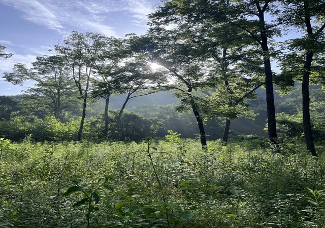 Photo 2 of Land for sale at 100 Henley Rd, Ashland City, TN 37015 | MLS# 3164616 | Listing updated on 2026-09-19