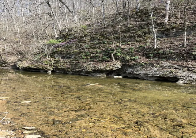 Photo 3 of Land for sale at 100 Henley Rd, Ashland City, TN 37015 | MLS# 3164616 | Listing updated on 2026-09-19