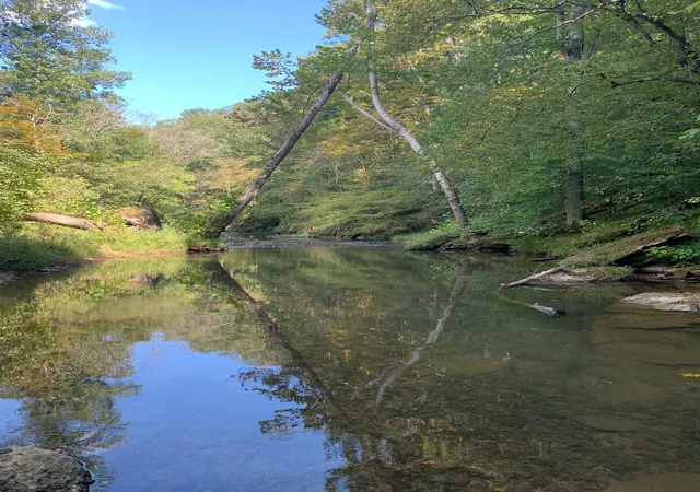 Photo 3 of Land for sale at 100 Henley Rd, Ashland City, TN 37015 | MLS# 3164616 | Listing updated on 2026-09-19