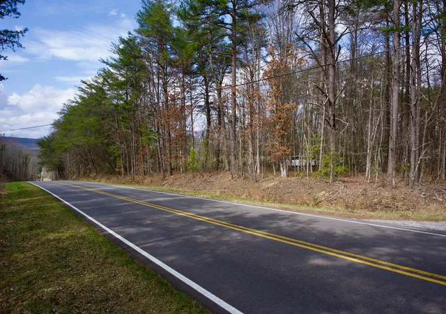 3rd image of 0 Daus Mountain Rd, Palmer, TN 37365 | MLS# 3164649