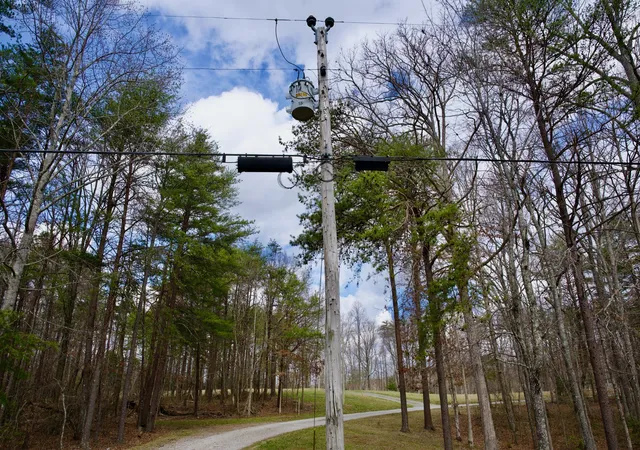4th image of 0 Daus Mountain Rd, Palmer, TN 37365 | MLS# 3164649