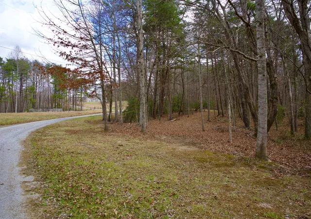 5th image of 0 Daus Mountain Rd, Palmer, TN 37365 | MLS# 3164649