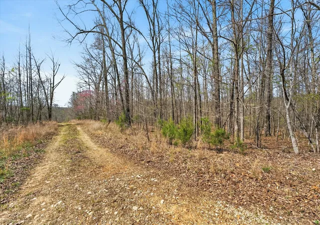 Photo 17 of Land for sale at 0 Pumpkin Valley Rd, Indian Mound, TN 37079 | MLS# 3165281 | Listing updated on 2026-08-21
