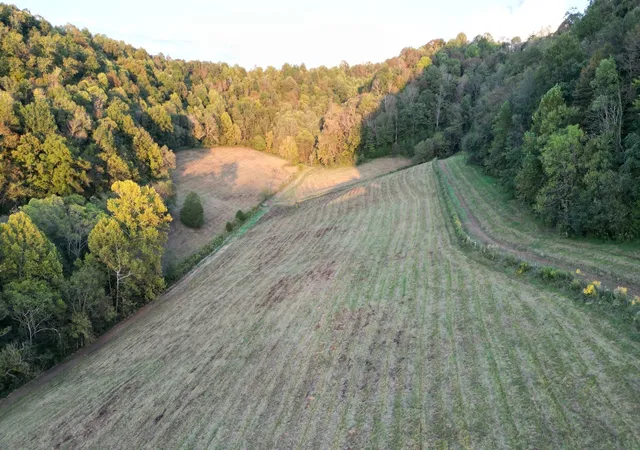 Homes for sale in Pleasant Shade, TN | 46 Carver Hollow Lane, Pleasant Shade, TN 37145 | MLS# 3166750