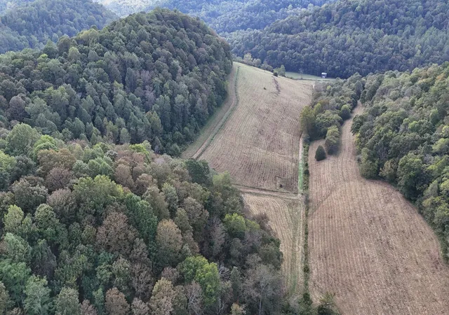 Homes for sale in Pleasant Shade, TN | 46 Carver Hollow Lane, Pleasant Shade, TN 37145 | MLS# 3166750